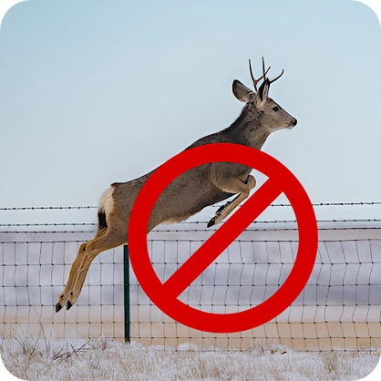 Fences fail to stop wildlife